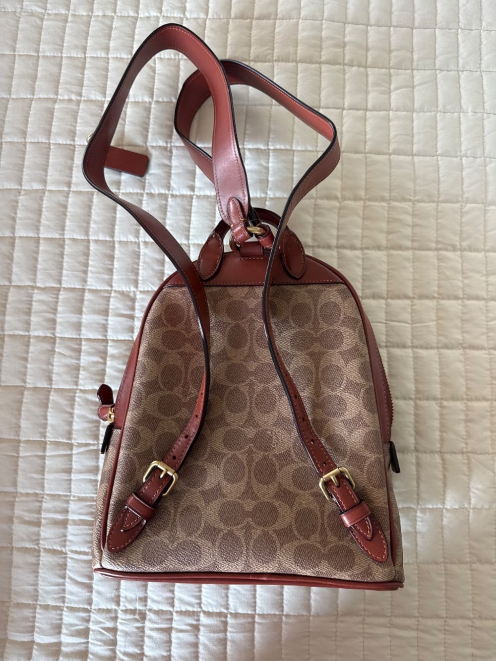 Coach Court Backpack in Signature Canvas - Picture 4 of 8